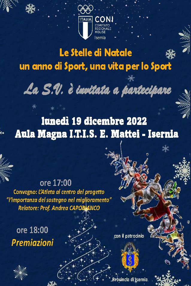 Stelle Natale